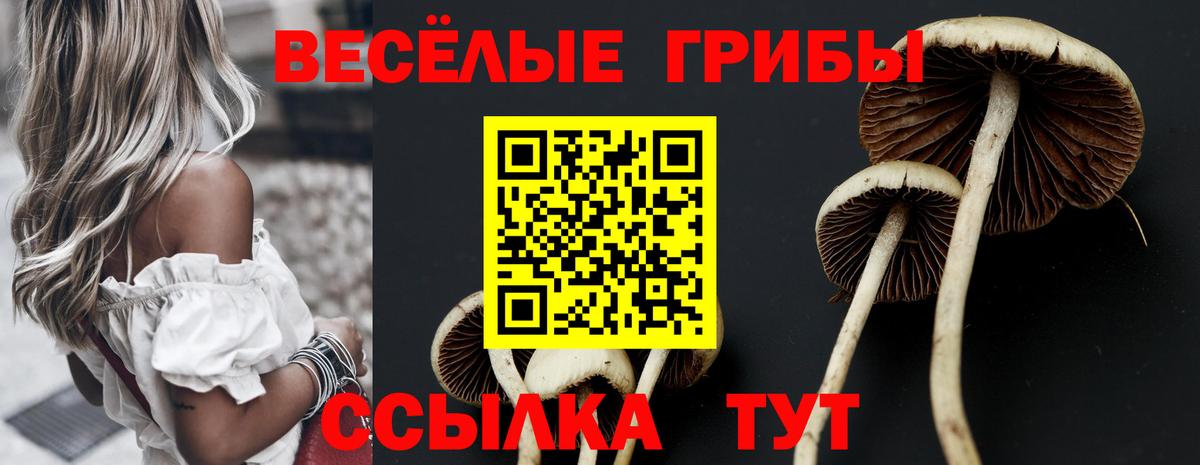 Саяногорск  Галлюциногенные грибы GOLDEN TEACHER  Псилоцибиновые грибы Psilocybe  Вход с VPN 